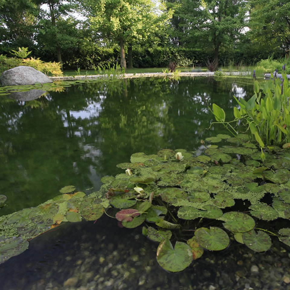 Costi e prezzi / biopiscine, ecolaghi e piscine naturali Costo laghetto artificiale